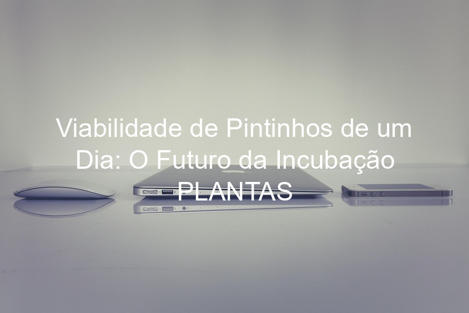 Viabilidade de Pintinhos de um Dia: O Futuro da Incubação PLANTAS